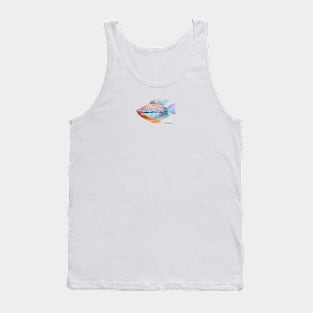 Pearl Gourami Fish Tank Top